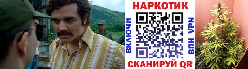 Виды наркотиков купить Котлас СОЛЬ  МАРИХУАНА  Меф мяу мяу  Гашиш  Кокаин 